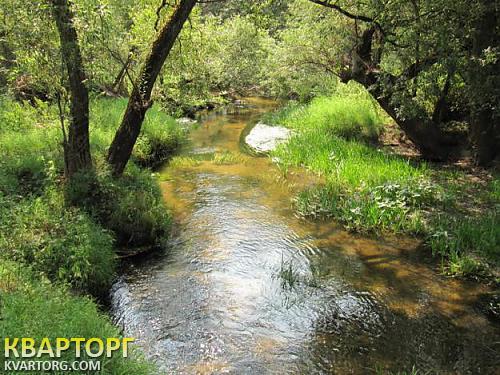 Sell house. Житомир, Местечко — photo 7