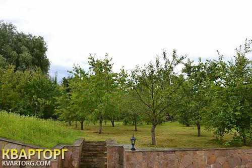 Rent out house. Киевская обл., Большая Дамба — photo 6