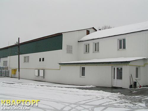 Sell warehouse. Киевская обл., Старые Петровцы — photo 2