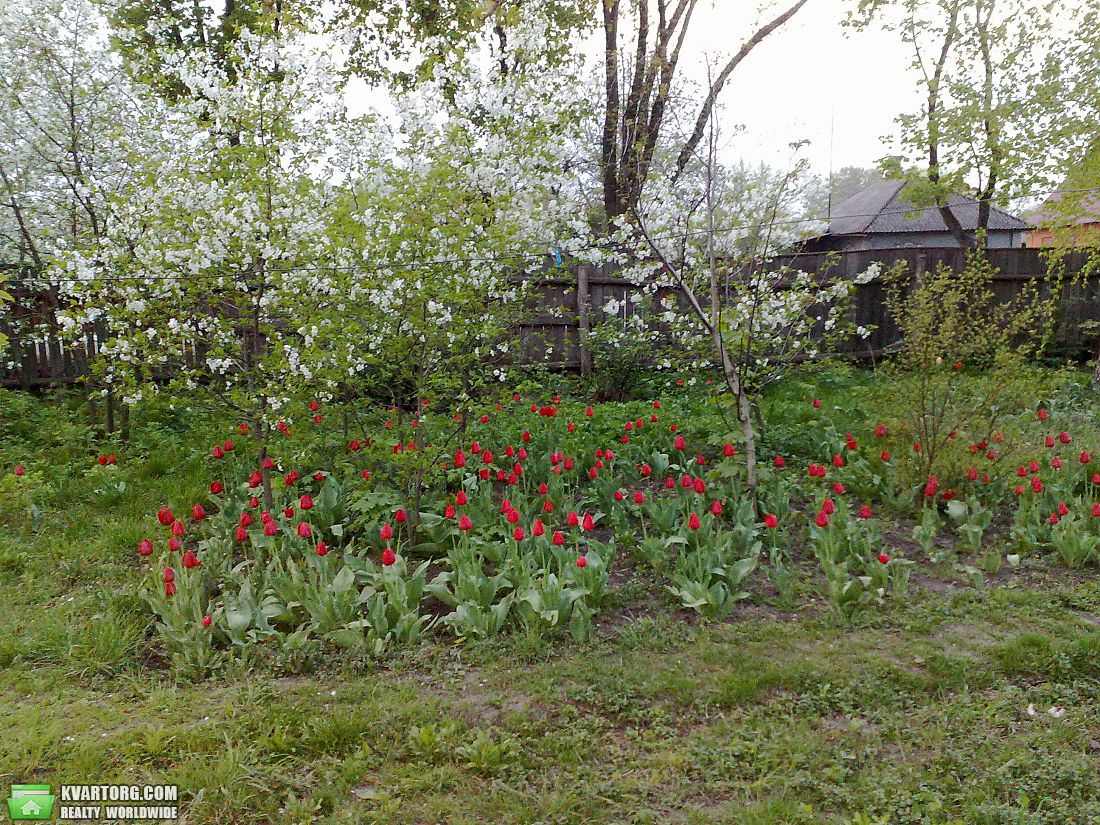 Sell house. Сумы, Клубная — photo 4