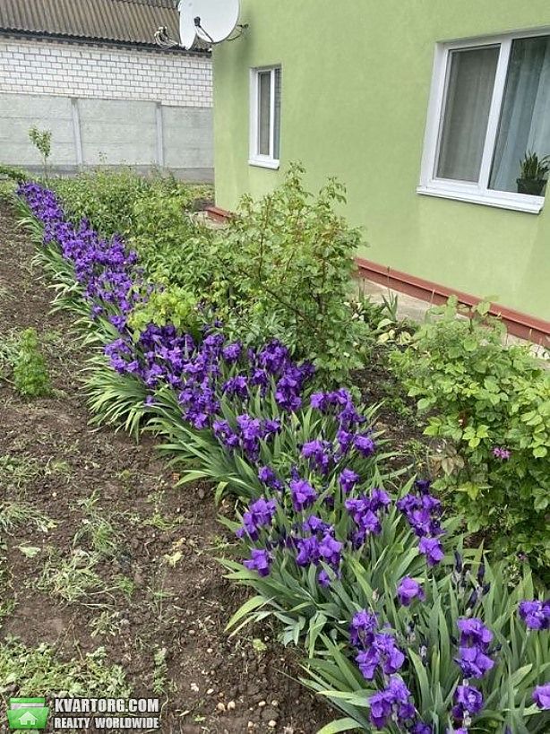 Sell house. Киевская обл., Гвоздов — photo 4