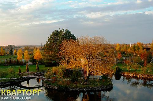 Sell house. Киев, Плюты — photo 4