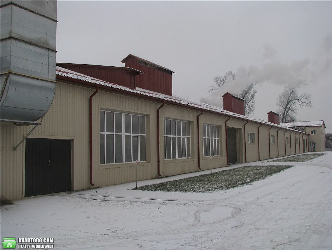 Rent out warehouse. Борисполь, Индустриальная — photo 3