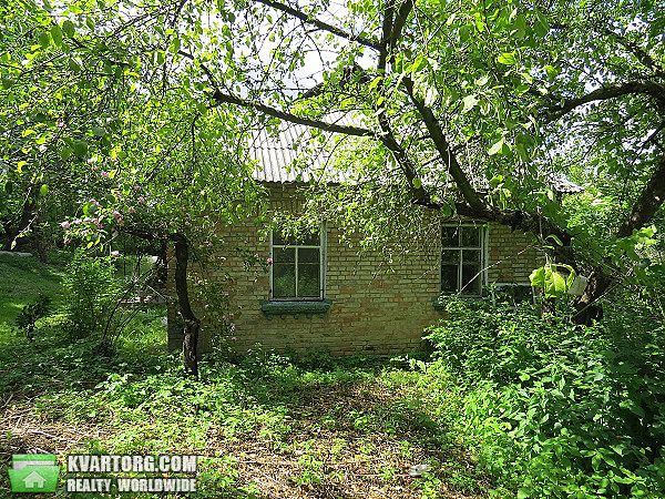 Sell house. Киевская обл., Красная Слободка — photo 5