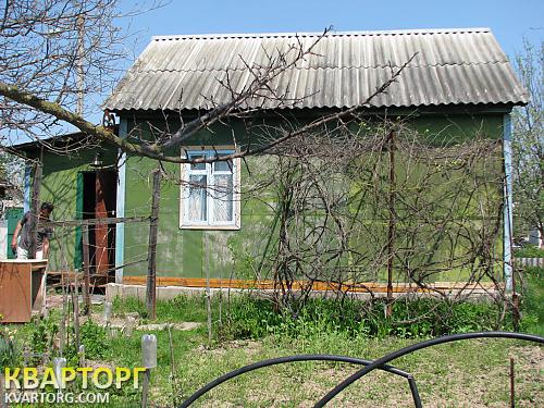 Sell house. Киевская обл., Требухов — photo 6