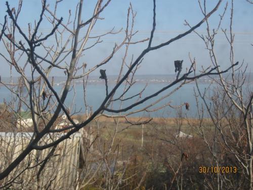 Sell house. Одесса, кооп.Портовик — photo 4