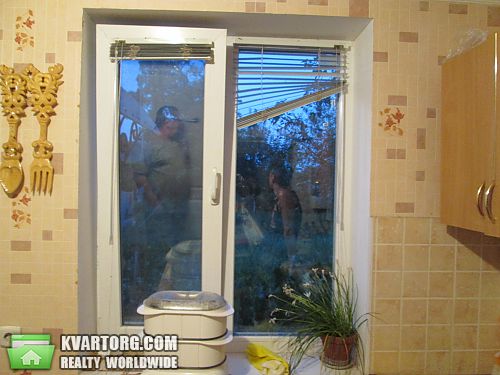 Rent out house. Буча, Южная — photo 5