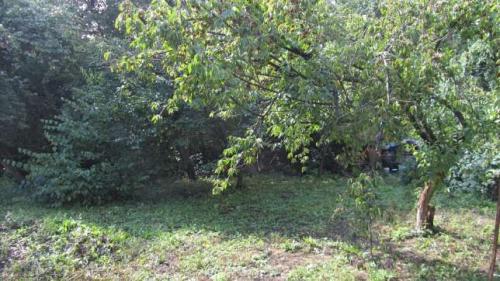 Sell house. Киев, Брюсова — photo 6