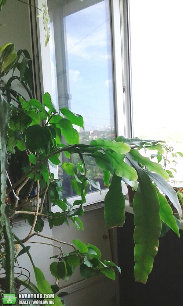 Sell 1-room apartment. Одесса, Бреуса — photo 6