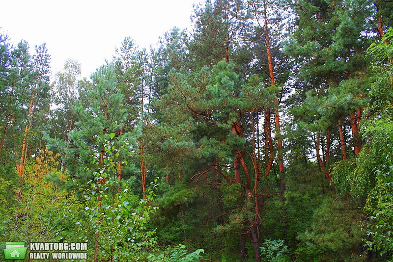 Sell house. Киевская обл.,  Отдыха — photo 5