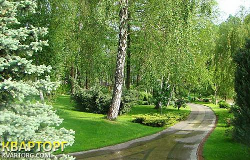 Sell house. Киевская обл., Романков — photo 9