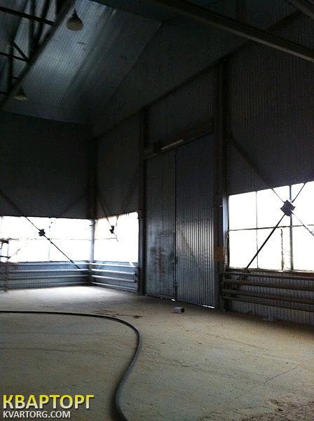 Rent out warehouse. Киев, Бородянский район с. Небрат ул. Гутниченко — photo 10