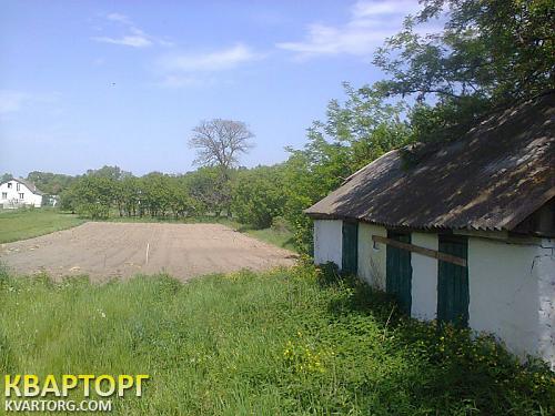 Sell house. Чернигов, Боромыки — photo 4