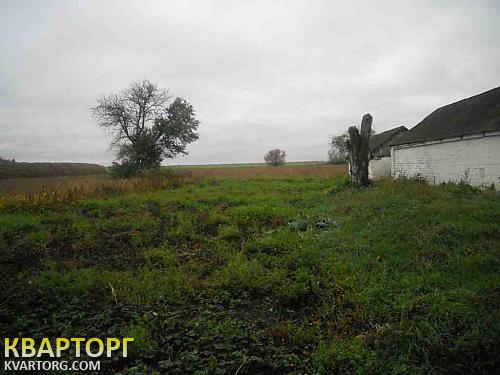 Sell house. Киевская обл.,  Бажана — photo 8