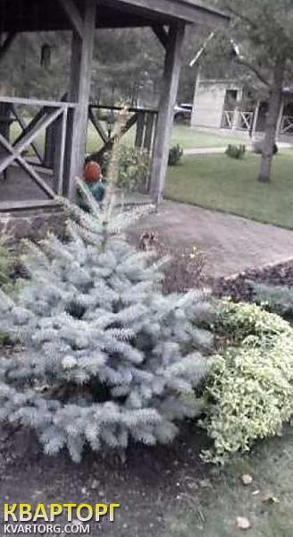 Rent out house. Киевская обл., Процев — photo 8
