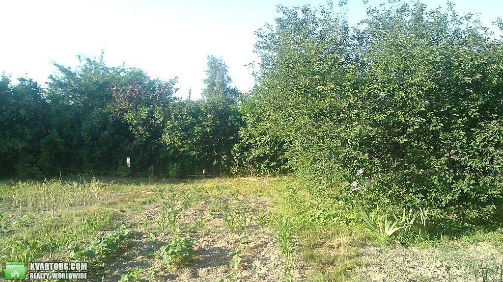 Sell house. Борисполь, Займище — photo 8