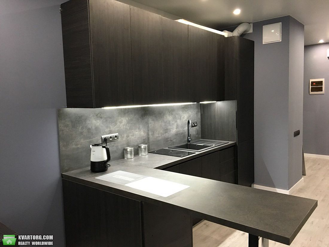Rent out 1-room apartment. Киев,  Предславинская — photo 2