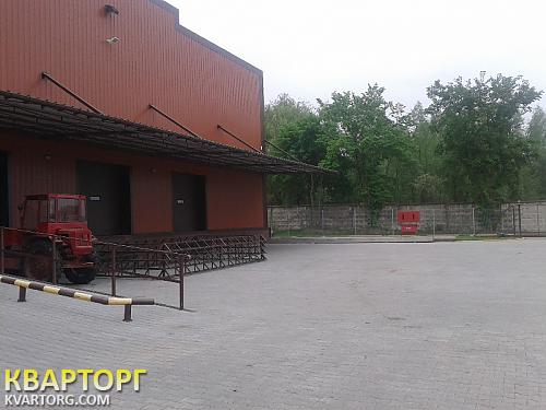 Rent out warehouse. Киев, Киевская — photo 3