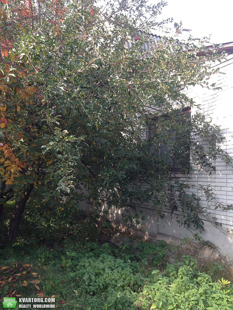 Sell house. Борисполь, Гора — photo 4