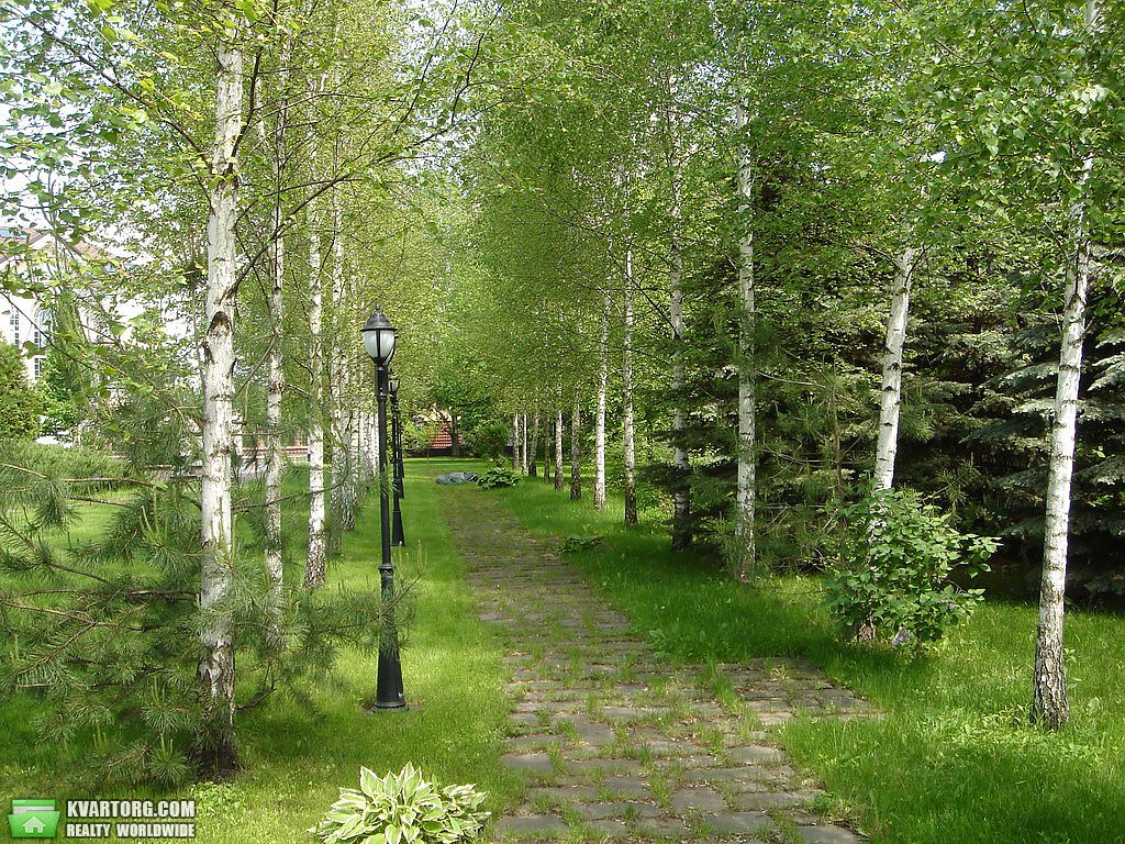 Rent out house. Киев, Золотые ворота — photo 5