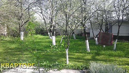 Sell house. Киевская обл., Шевченко — photo 10