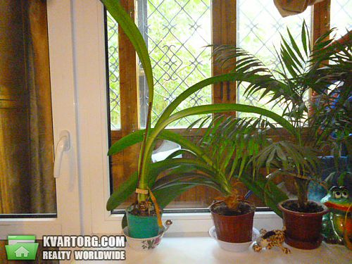 Sell 1-room apartment. Одесса, Заболотного — photo 2