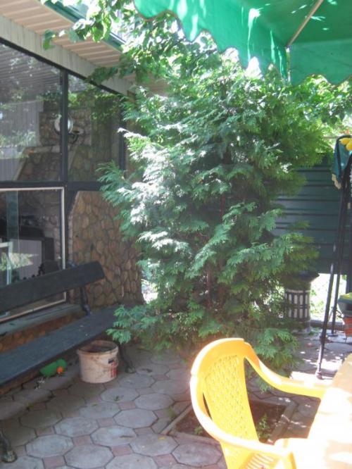Rent out house. Одесса, Южная дорога 33 — photo 6