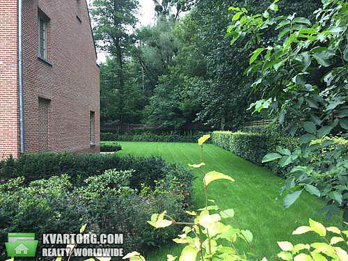 Rent out house. Киевская обл., Большие Дмитровичи — photo 4
