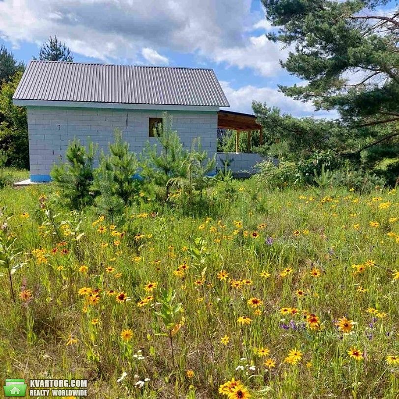 продам дом. Киевская обл.,  Веселинівка - фото 10