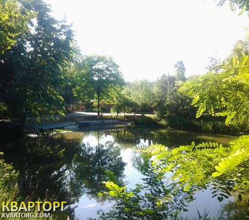 Rent out house. Киевская обл., Гореничи — photo 7