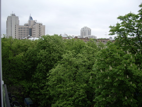 Rent out 3-room apartment. Киев, Шелковичная — photo 1