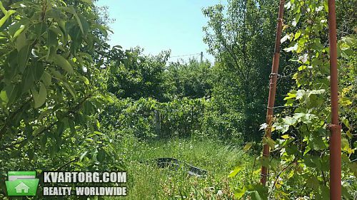 Sell house. Киевская обл., Петрушки — photo 10