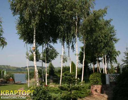 Rent out house. Киевская обл., Новые Безрадичи — photo 2