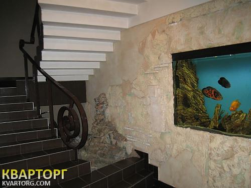 Rent out office. Киев, Введенская — photo 6