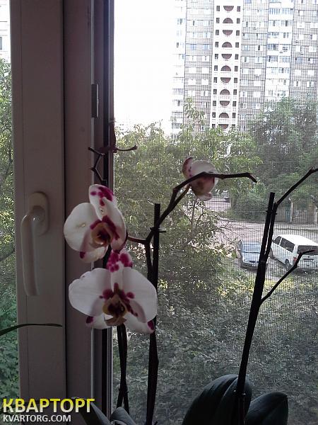 Sell 3-room apartment. Киев, Тростянецкая — photo 2