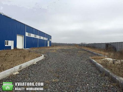 Sell warehouse. Борисполь, Малая Александровка — photo 2