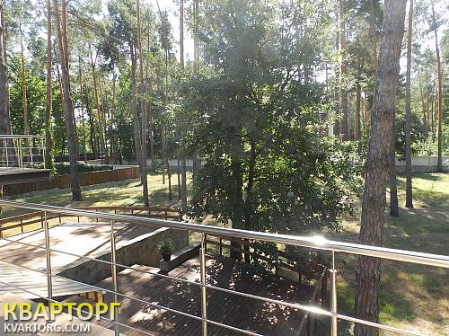 Rent out house. Киевская обл., Романков — photo 2