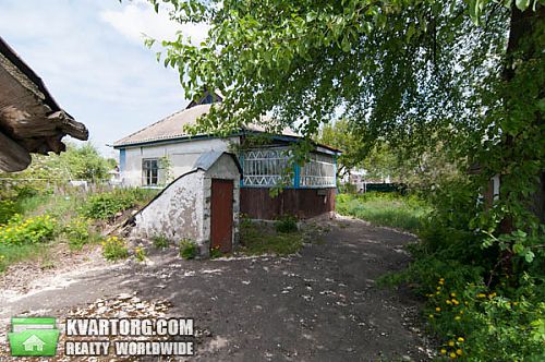 Sell house. Киевская обл., Васильченко — photo 5