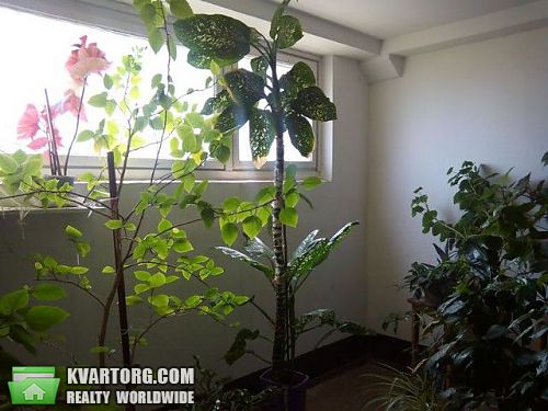 Sell 3-room apartment. Одесса, Солнечная ул/Светлый пер — photo 6