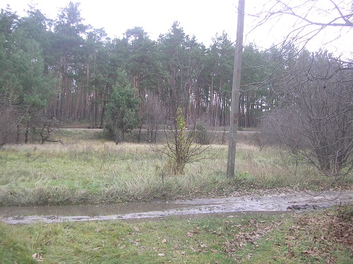 Sell house. Киевская обл., Кирова — photo 3