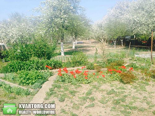 Sell house. Киев, Мичурина — photo 4