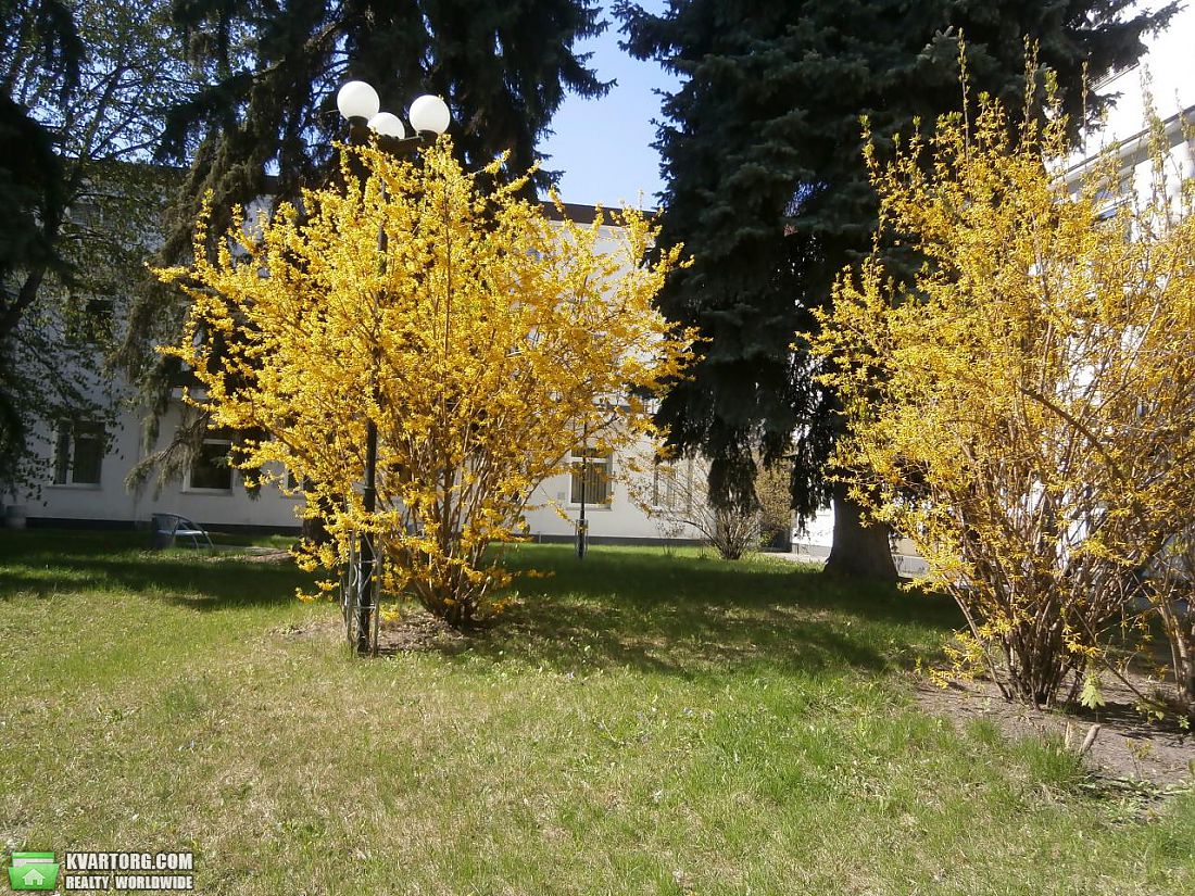 Rent out office. Киев,  Институтская — photo 10