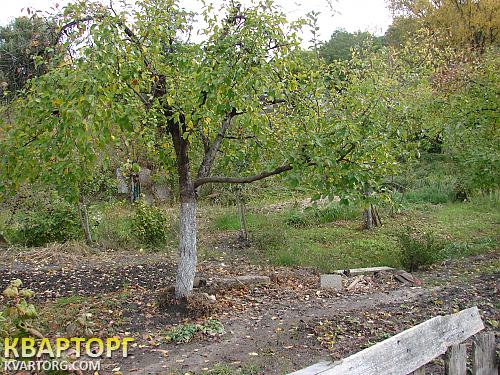 Sell house. Киевская обл., Ступки — photo 2