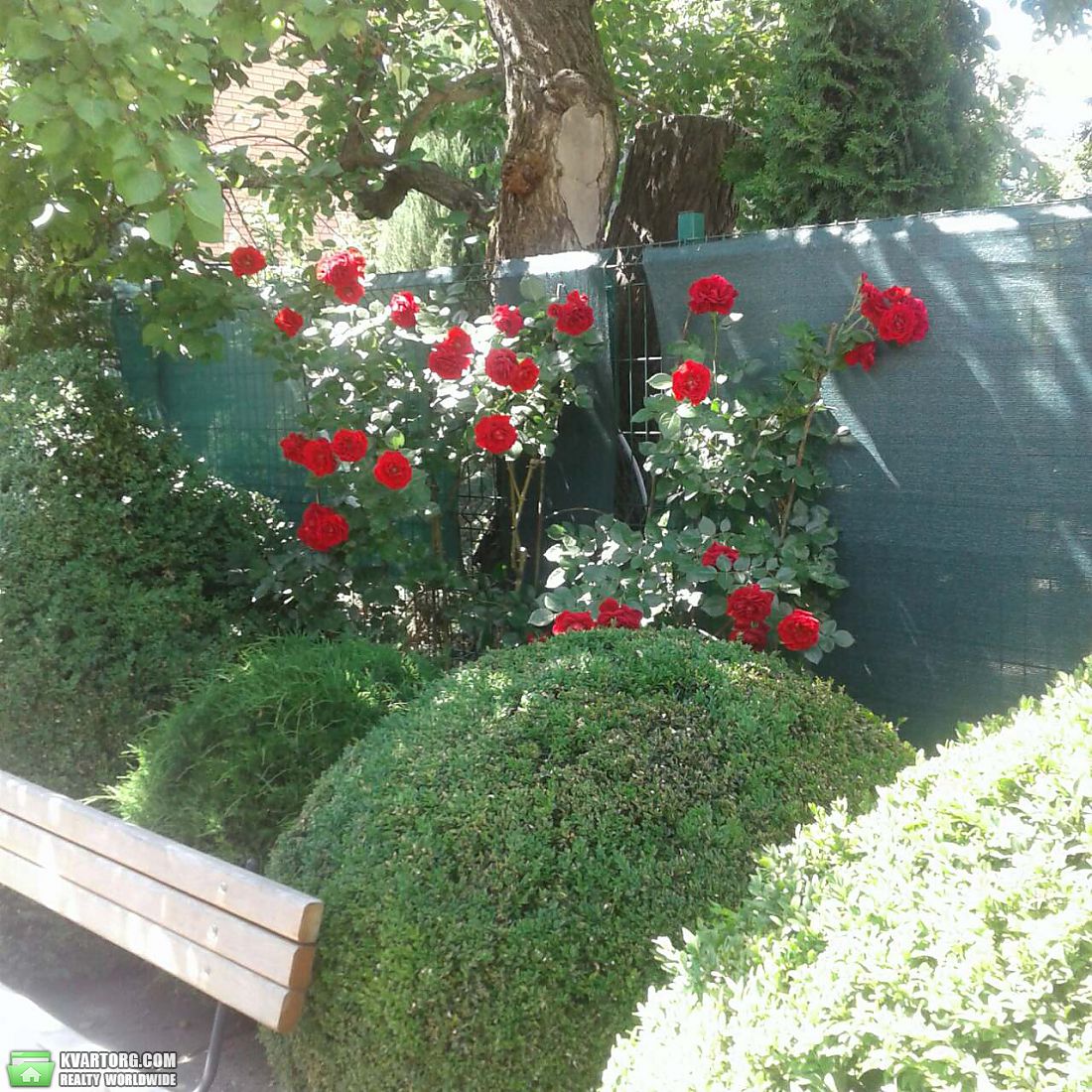 Rent out house. Одесса, Гаршина  улица — photo 2