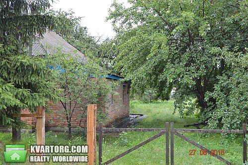 Sell house. Киевская обл., Хоцки — photo 2