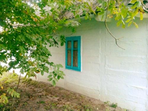 Sell house. Луцк, Центральна — photo 3