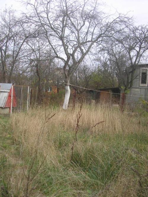 Sell house. Киевская обл., 22 линия — photo 4