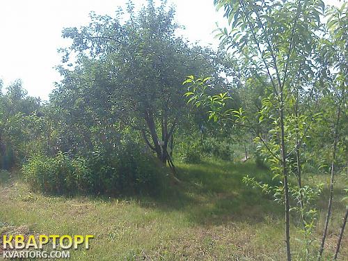 Sell house. Чернигов, Жавинка — photo 3