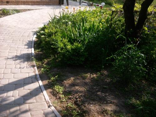 Sell house. Киевская обл., ст — photo 6