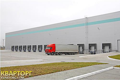 Rent out warehouse. Киевская обл., Макаровский — photo 2